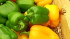 Around Town:  Byron Center Farmers Market