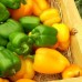Around Town:  Byron Center Farmers Market
