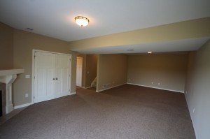 Lower Level Family Room